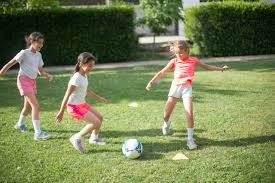 棒球文化的长期陪伴属性